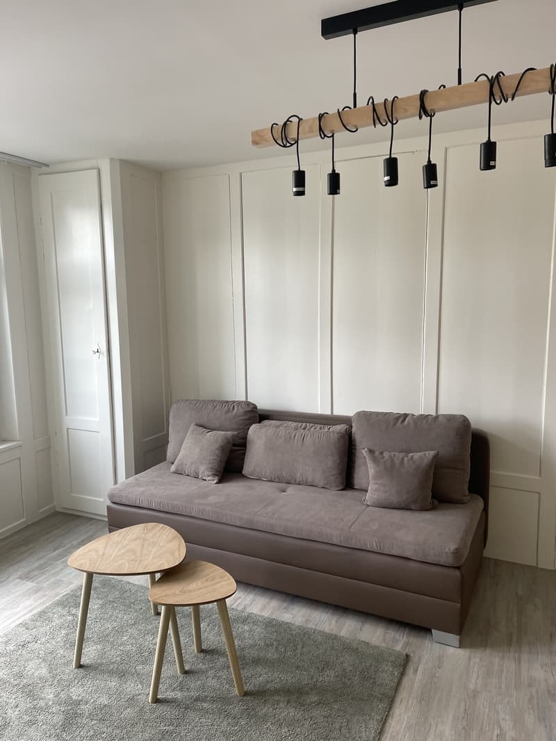 2 ½ Zimmer-Wohnung, 8200 Schaffhausen (7)