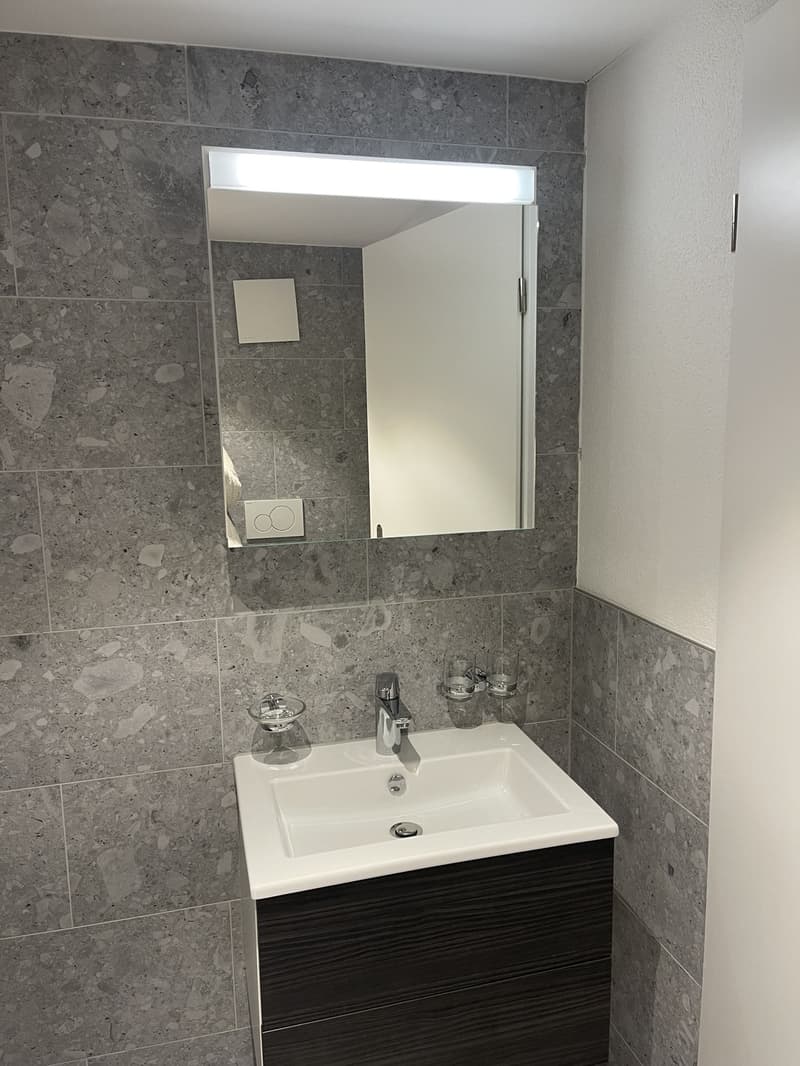 2 ½ Zimmer-Wohnung, 8200 Schaffhausen (6)