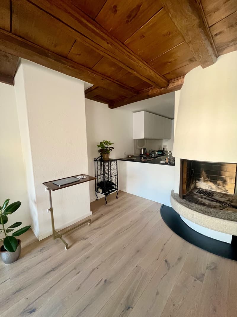 Zurich, Münsterhof - room in a large bright apartment with great views, lift and fire place (4)