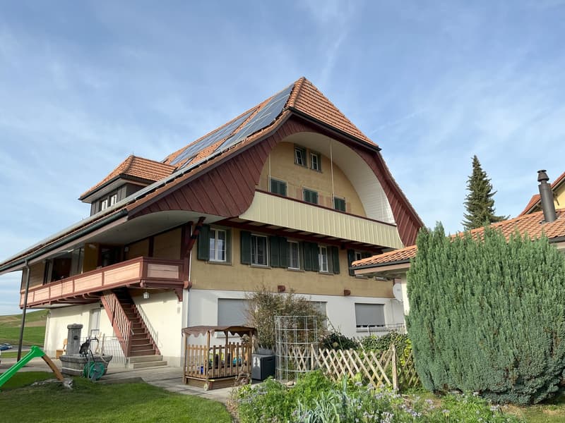 Wohnen mit Weitsicht: Charmante 5.5-Zi.-Wohnung mit grossem Aussichtsbalkon (2)