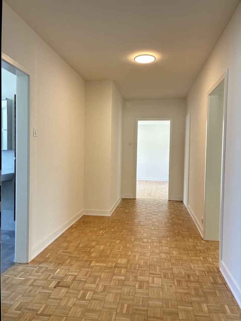 Erstvermietung- Frisch sanierte 4.Zimmer-Wohnung in Wollishofen (3)