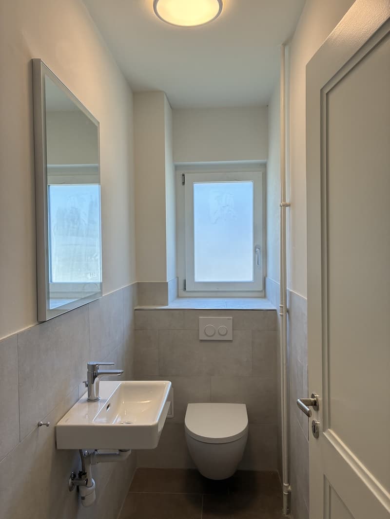 Erstvermietung- Frisch sanierte 4.Zimmer-Wohnung in Wollishofen (4)