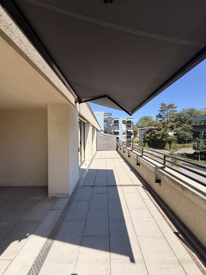 Moderne 4.5-Zimmer-Wohnung mit grosser Terrasse in Tagelswangen (6)