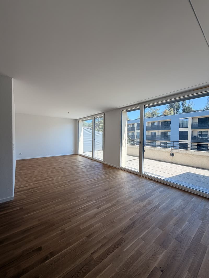 Moderne 4.5-Zimmer-Wohnung mit grosser Terrasse in Tagelswangen (2)
