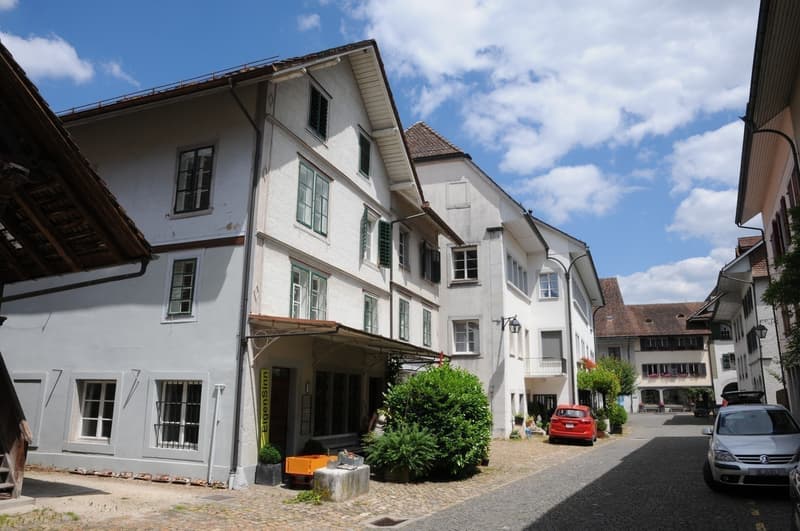 Historisches Wohnjuwel mit unschlagbarem Einzugsangebot (11)