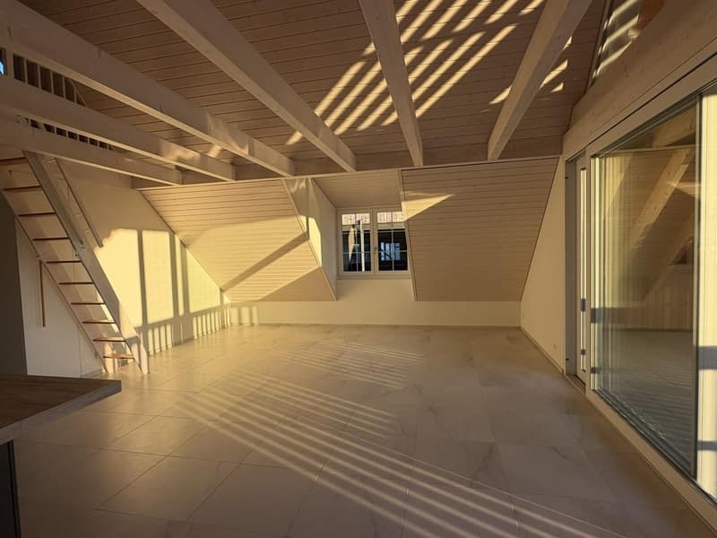 3 1/2 Dachwohnung mit zusätzlichem Raum (5)