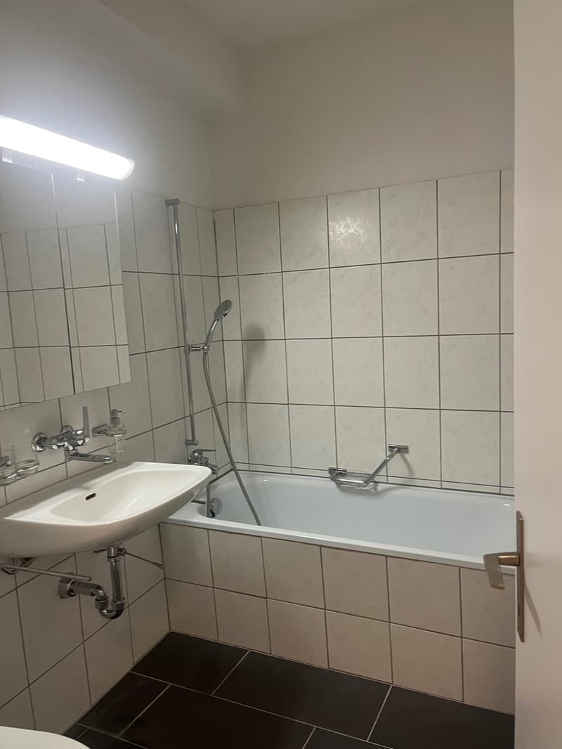Schönes City-Studio direkte ÖV nach Zürich, Dietikon & Wohlen (6)