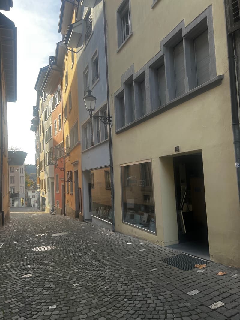 Schönes City-Studio direkte ÖV nach Zürich, Dietikon & Wohlen (9)