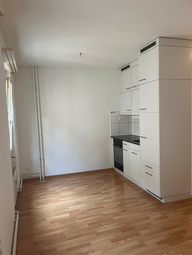 Schönes City-Studio direkte ÖV nach Zürich, Dietikon & Wohlen (1)
