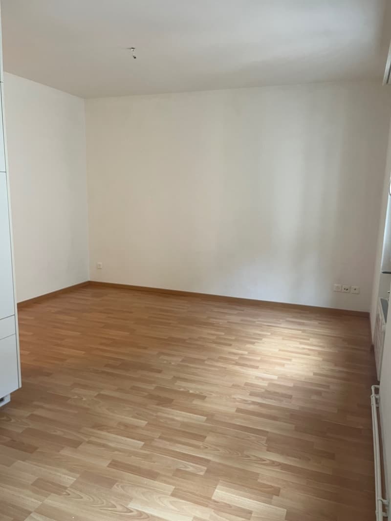 Schönes City-Studio direkte ÖV nach Zürich, Dietikon & Wohlen (4)