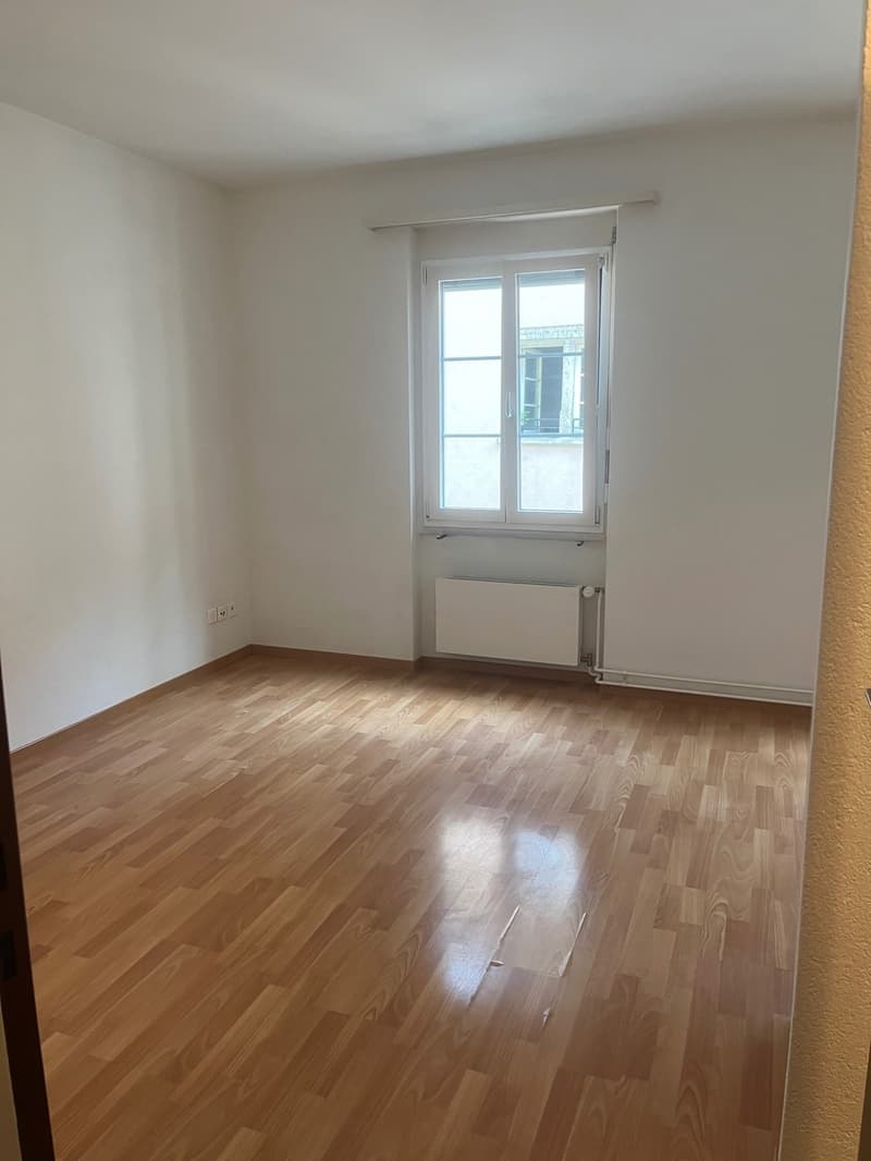 Schönes City-Studio direkte ÖV nach Zürich, Dietikon & Wohlen (2)