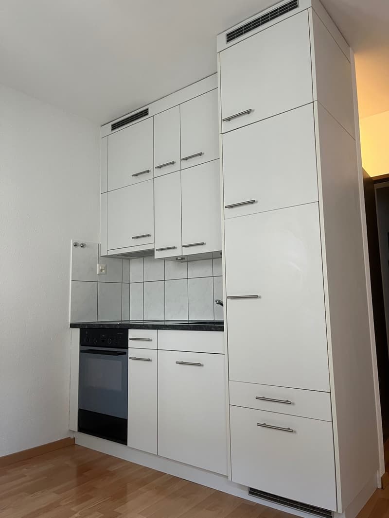 Schönes City-Studio direkte ÖV nach Zürich, Dietikon & Wohlen (5)