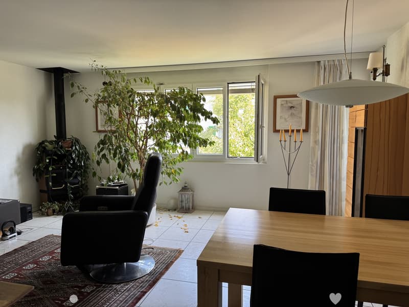2.5 Zimmerwohnung im beliebten Lindenquartier mit ESH Platz (1)