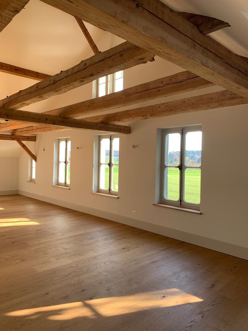 Paradies unter dem Dach Wohnen in der Villa St. Niklaus (7)