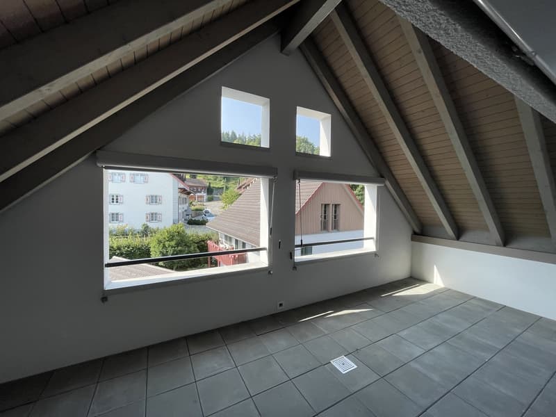 Moderne 4.5-Zimmer-Dachwohnung an sonniger und ruhiger Lage! (1)