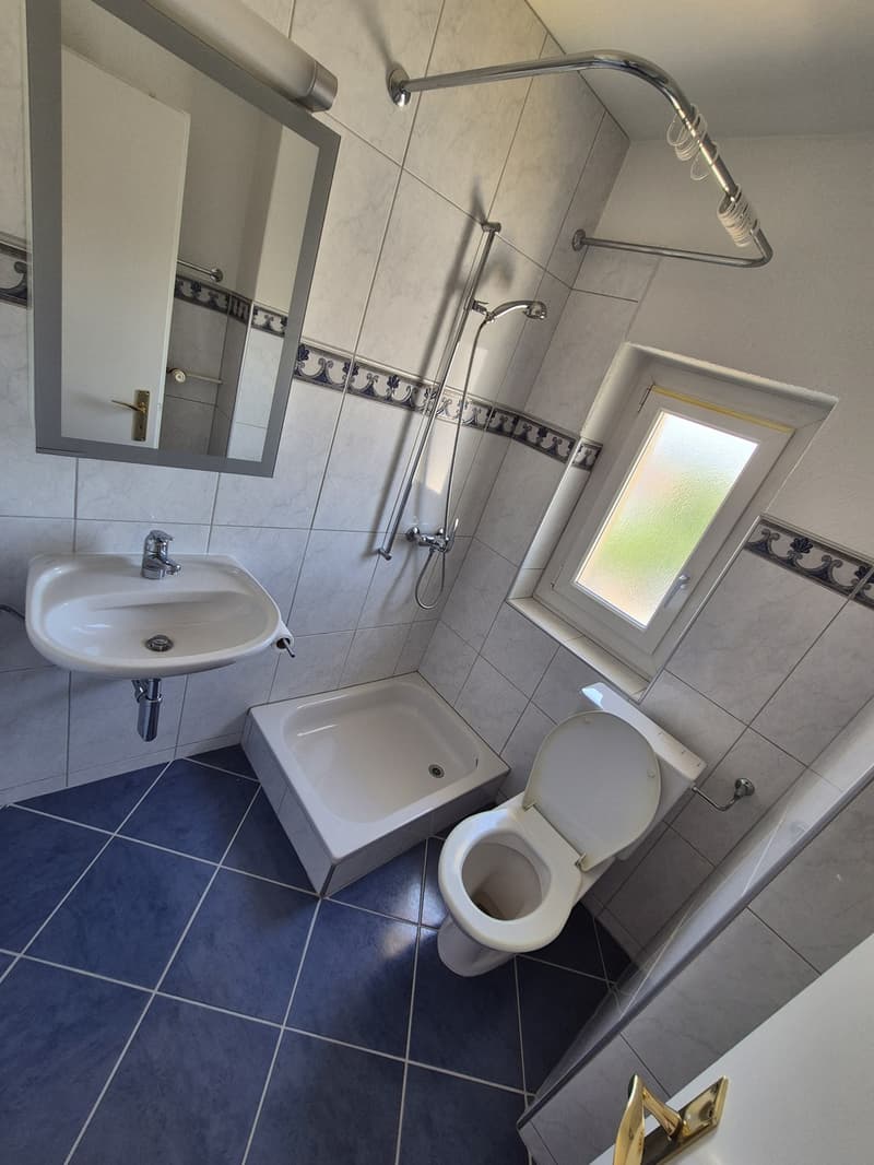 Ladys only! Neu renoviertes Zimmer in einer Damen WG (4)