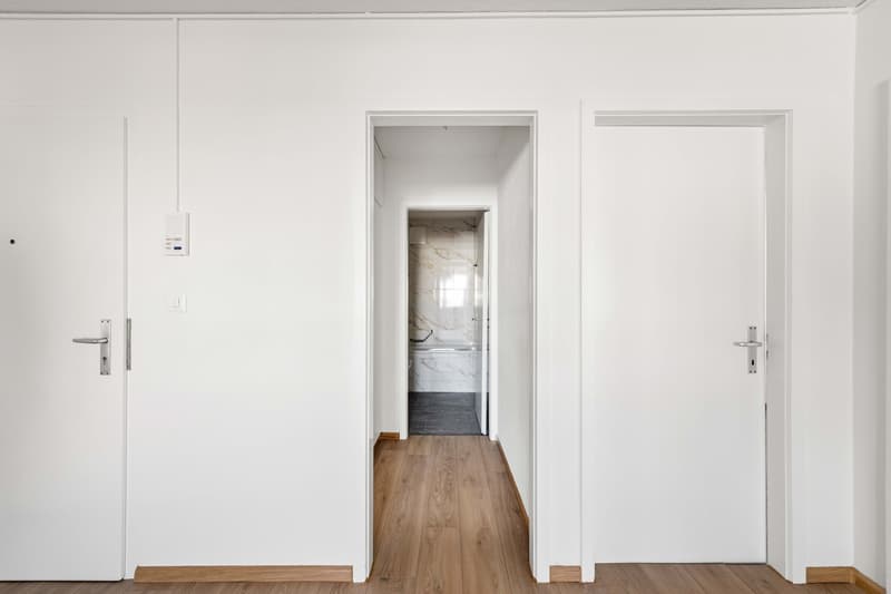 Erstvermietung nach Top-Renovation! LETZTE WOHNUNG (3)