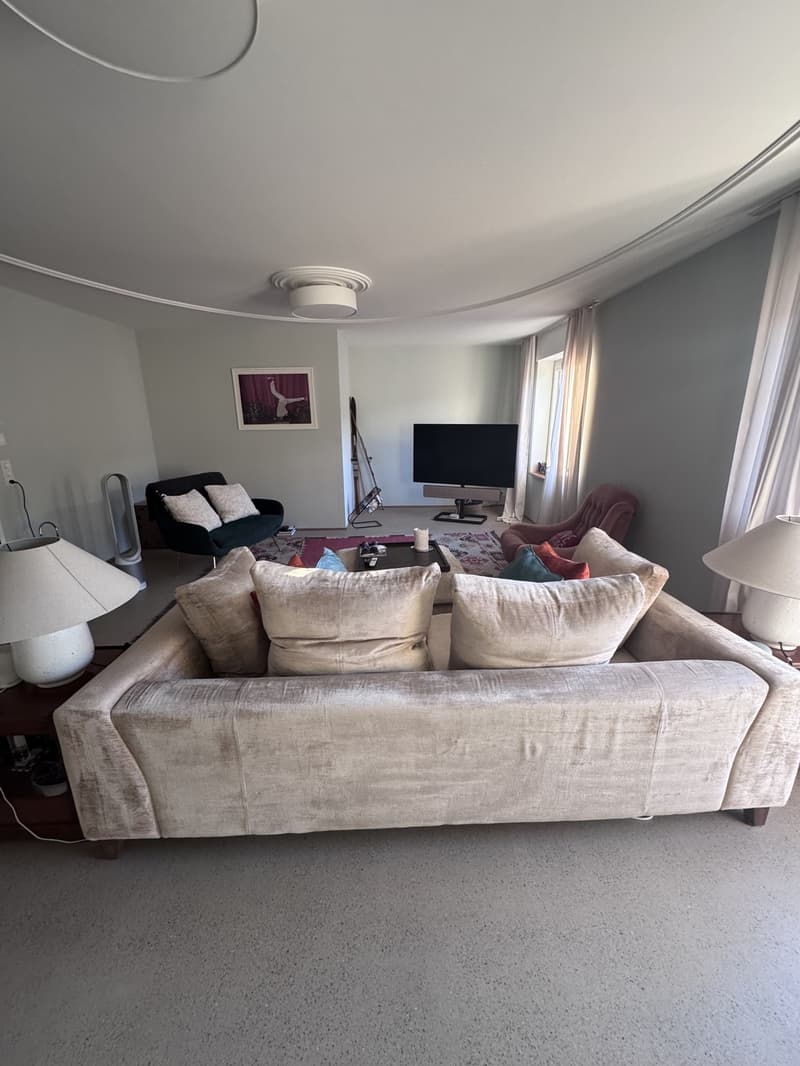 3.5 room luxury apartment in downtown Zurich (2)