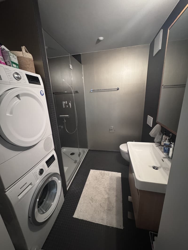 3.5 room luxury apartment in downtown Zurich (7)