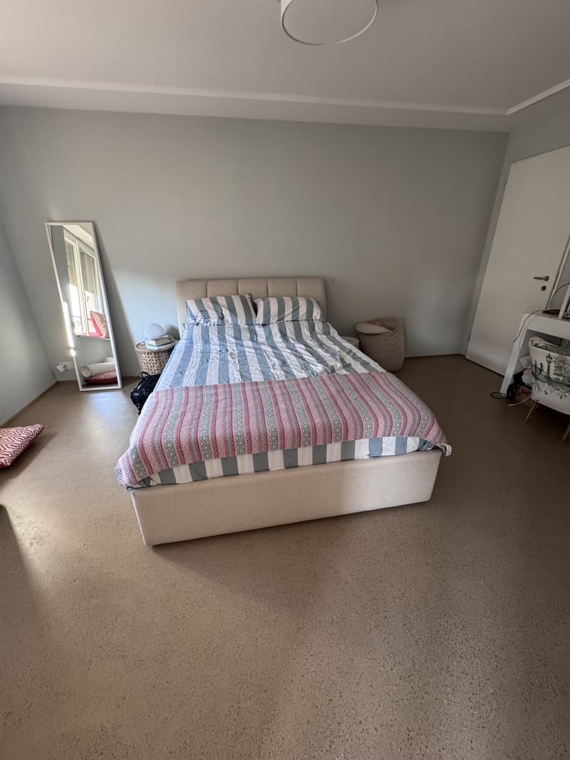 3.5 room luxury apartment in downtown Zurich (5)