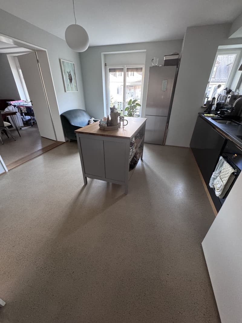 3.5 room luxury apartment in downtown Zurich (4)