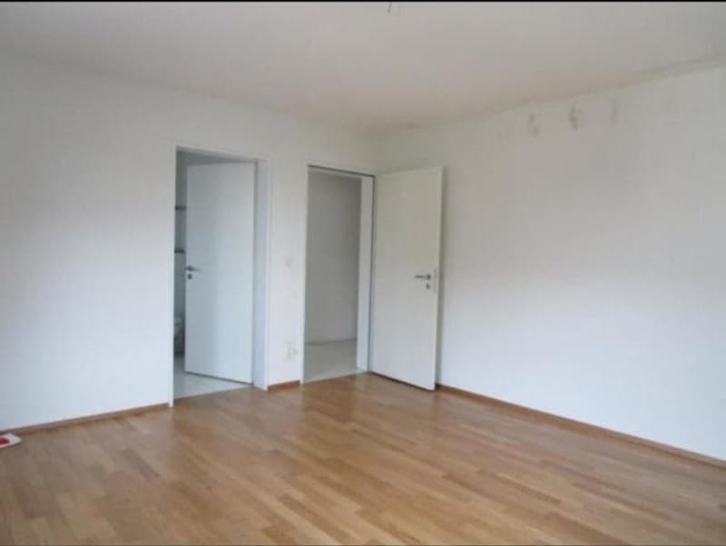 Helle 4.5-Zimmer-Wohnung mit Balkon in Volketswil (5)