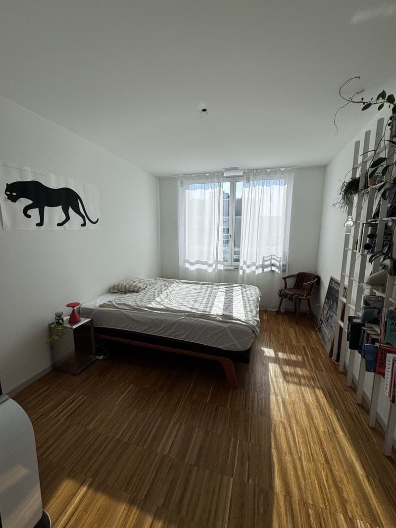 3.5-Zimmer-Wohnung - teilmöbliert, befristete Untermiete (3)