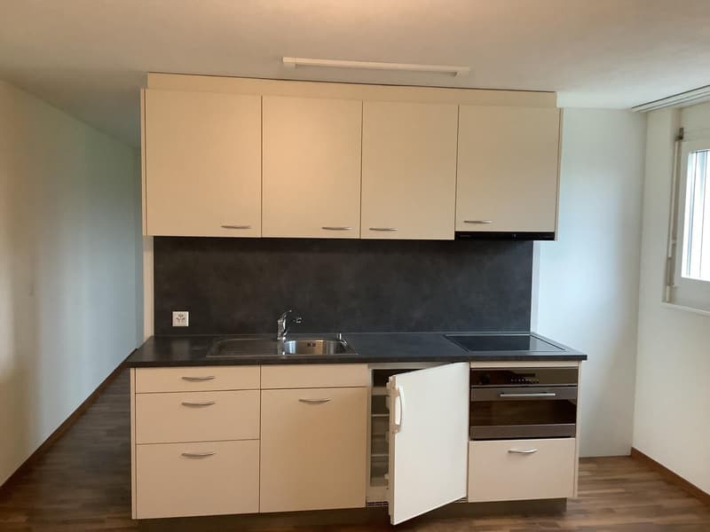 Moderne 2.5-Zimmer-Wohnung (1)