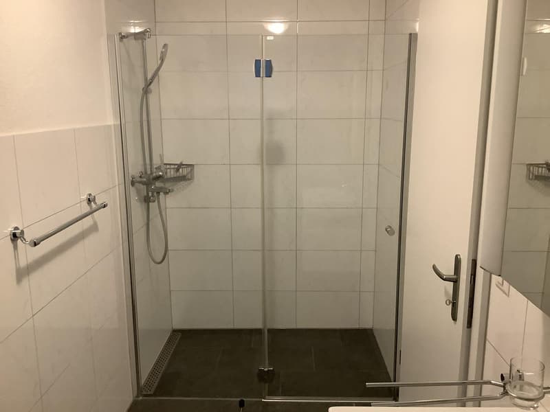 Moderne 2.5-Zimmer-Wohnung (4)