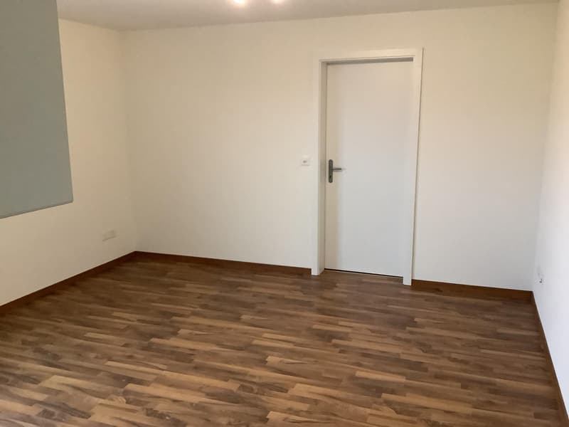 Moderne 2.5-Zimmer-Wohnung (2)