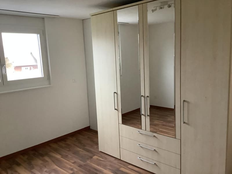 Moderne 2.5-Zimmer-Wohnung (3)