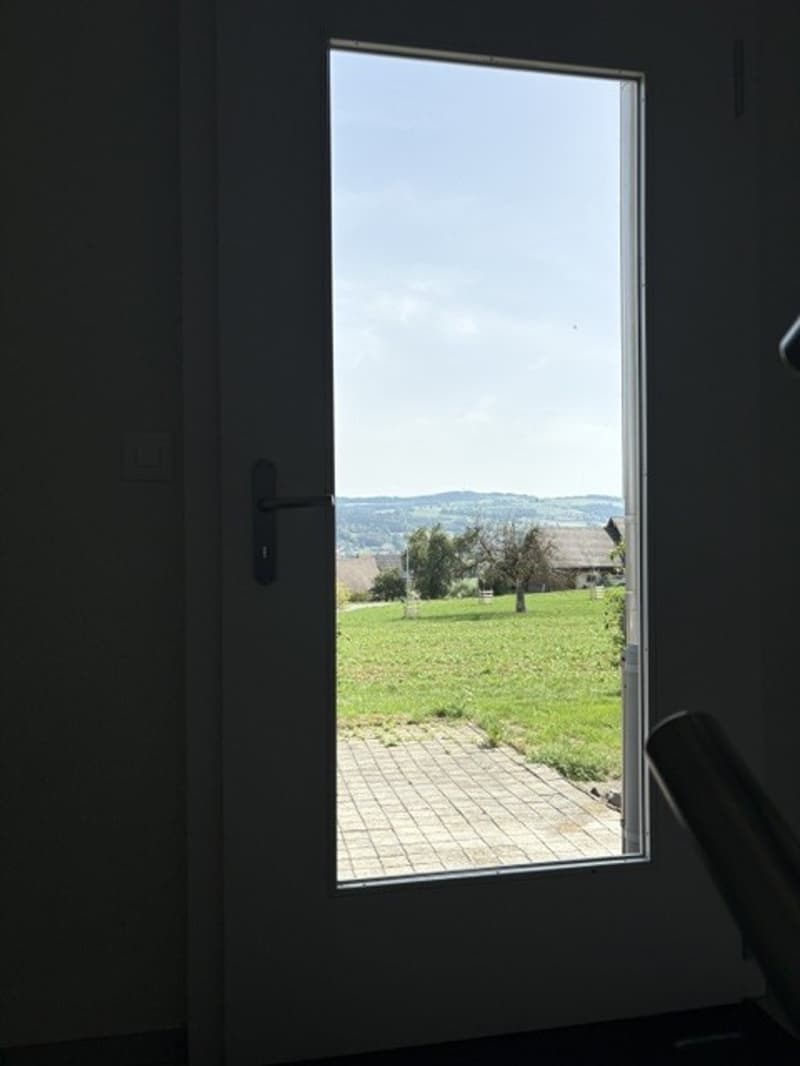 Moderne 2.5-Zimmer-Wohnung (5)