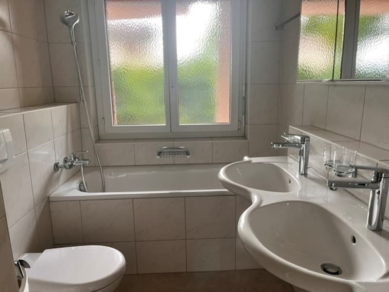 Grosszügige 4.5-Zimmerwohnung an ruhiger Lage zu vermieten (9)