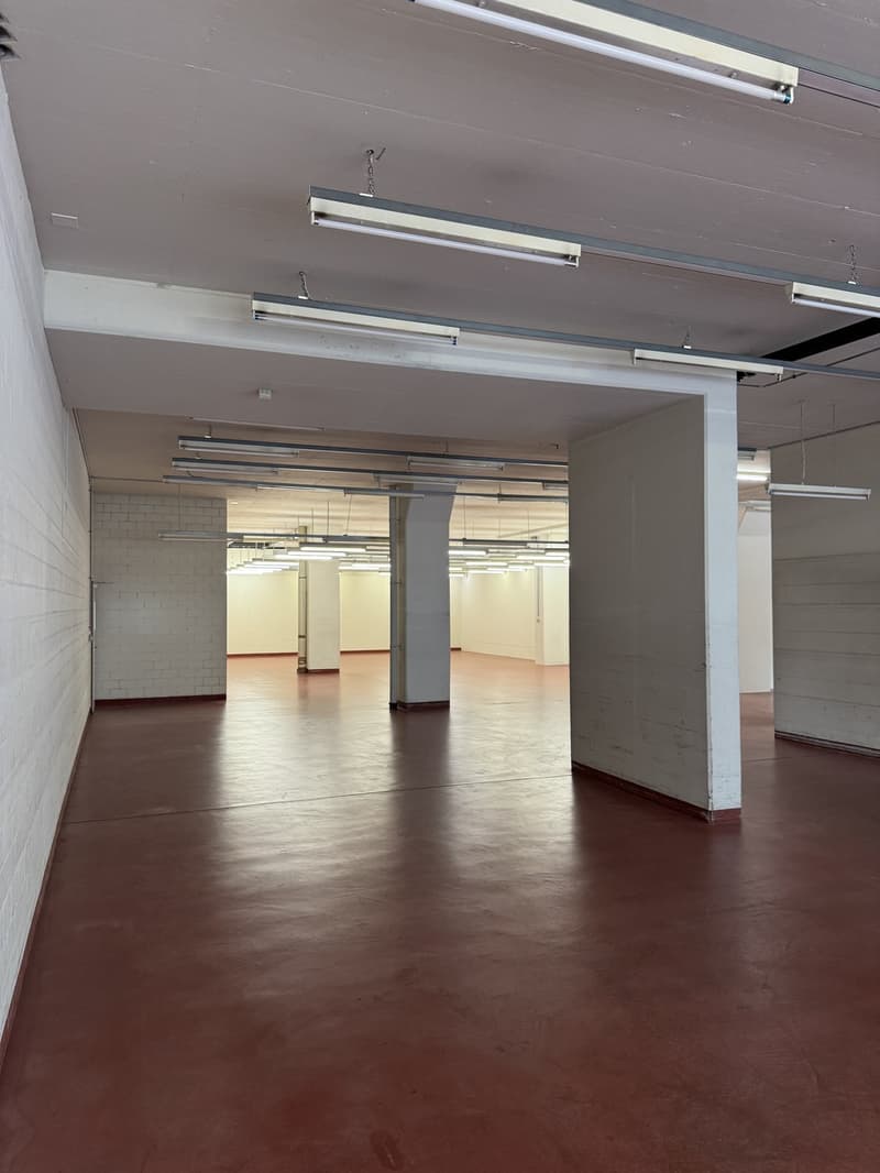 Repräsentatives Gewerbeobjekt mit Büro- und Lagerflächen an strategischer Lage (10)