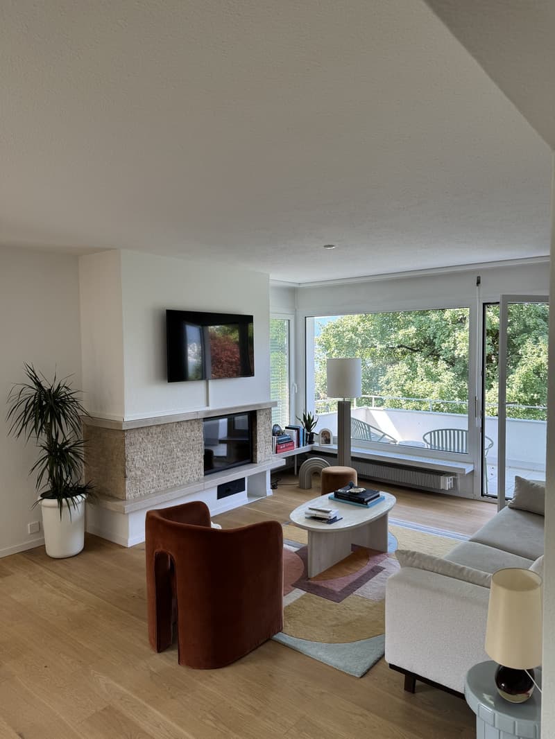 Lake View Apartment in Küsnacht (2)