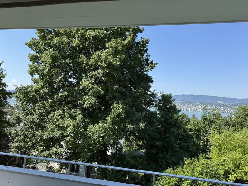 Lake View Apartment in Küsnacht (9)