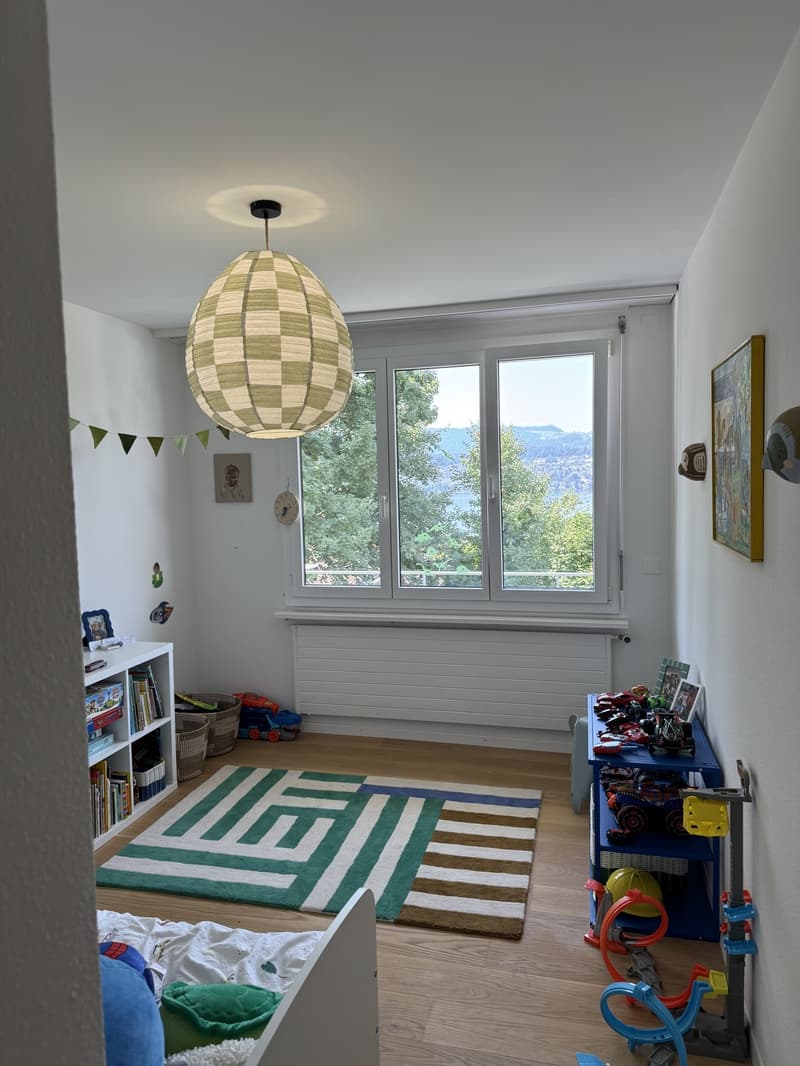 Lake View Apartment in Küsnacht (11)