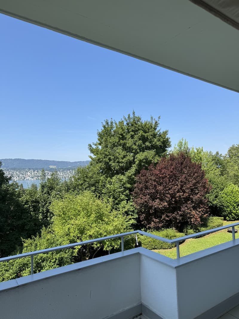 Lake View Apartment in Küsnacht (8)