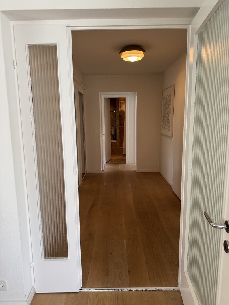Lake View Apartment in Küsnacht (5)