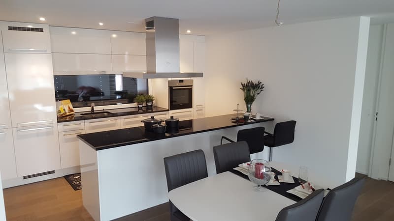 4.5 Dachwohnung mit Estrich (1)