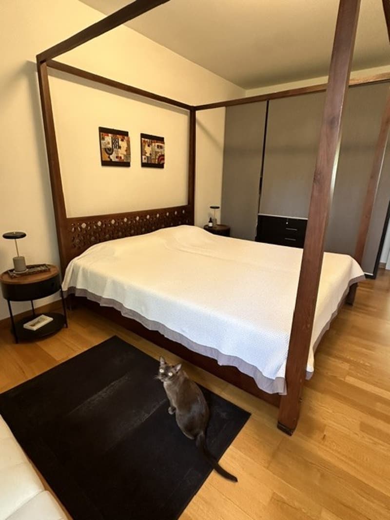 Fully furnished 2-room apartment (inc. utilities)in Seefeld, 4 min walk to the lake (6)
