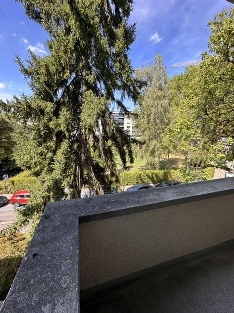 Fully furnished 2-room apartment (inc. utilities)in Seefeld, 4 min walk to the lake (12)