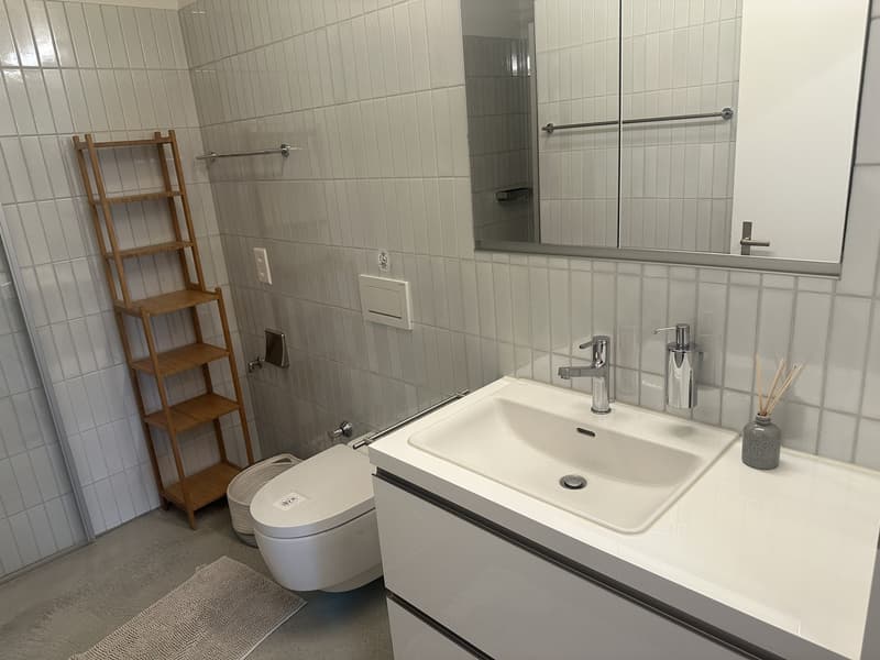 Traumhafte 5.5 zimmer wohnung mit pilatusblick in weggis (12)