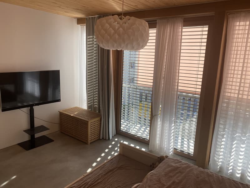 Traumhafte 5.5 zimmer wohnung mit pilatusblick in weggis (10)