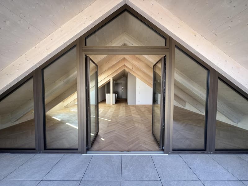 Newly built, first-occupancy 2.5-room attic apartment in Muttenz (10)