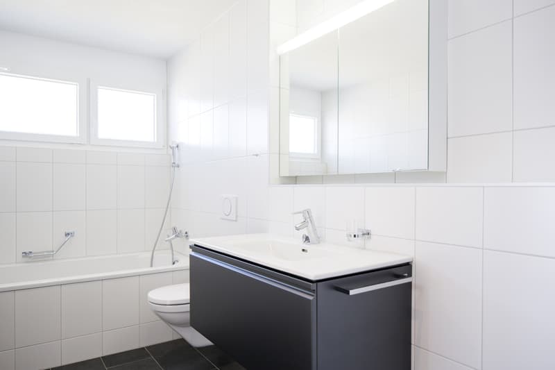 Helle 2.5-Zimmer-Attikawohnung (5)