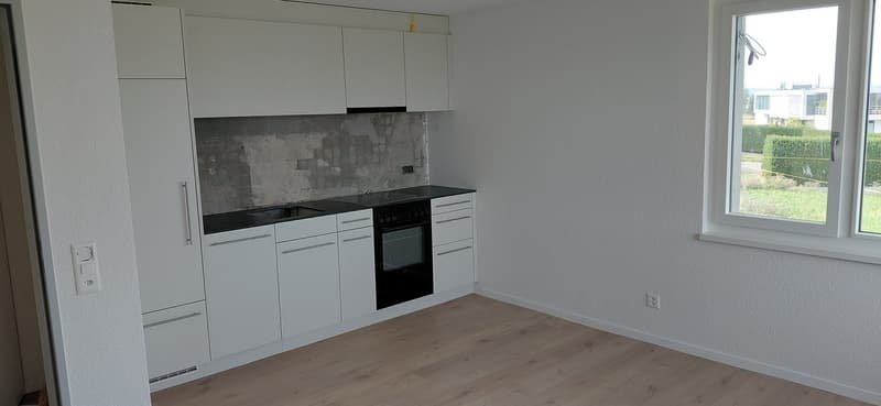 Neu ronovierte 2 Zimmer Wohnung (3)