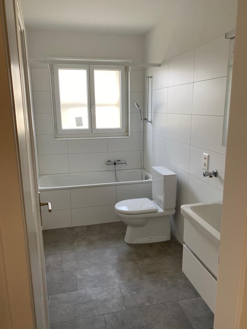 Schön sanierte Terrassenwohnung im Grünen (6)