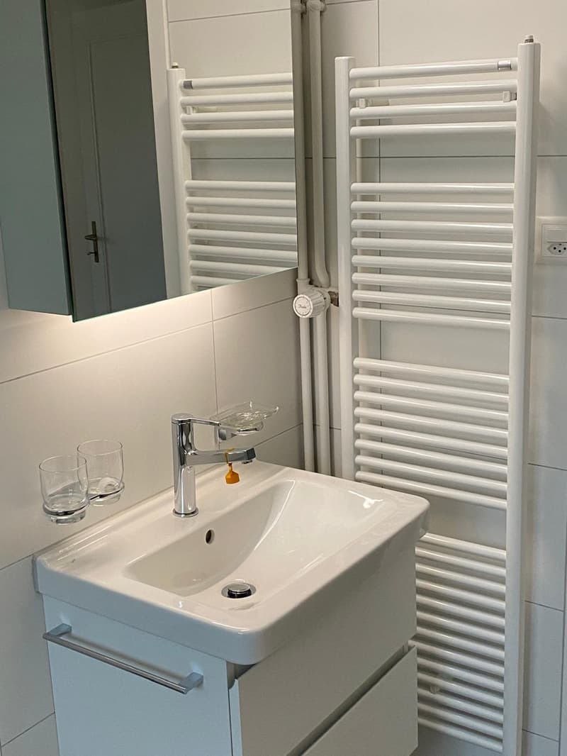 Schön sanierte Terrassenwohnung im Grünen (4)