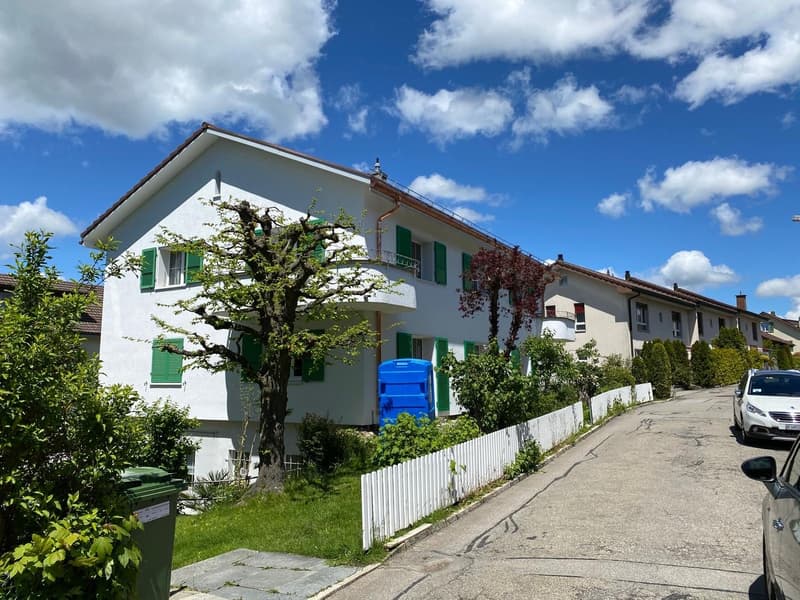 Schön sanierte Terrassenwohnung im Grünen (3)
